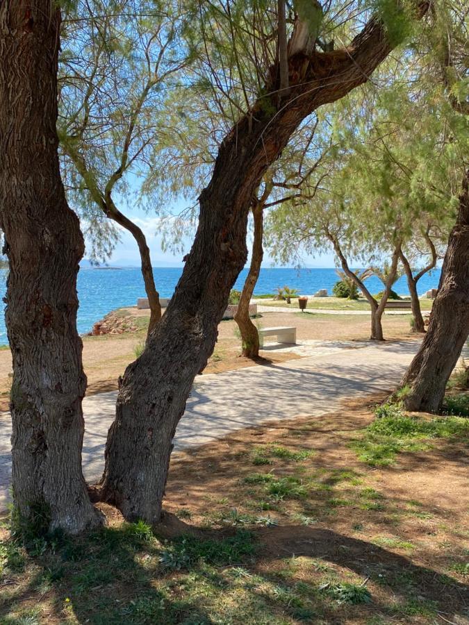 Athens-Riviera Luxury Apartment Sea View Voula Εξωτερικό φωτογραφία